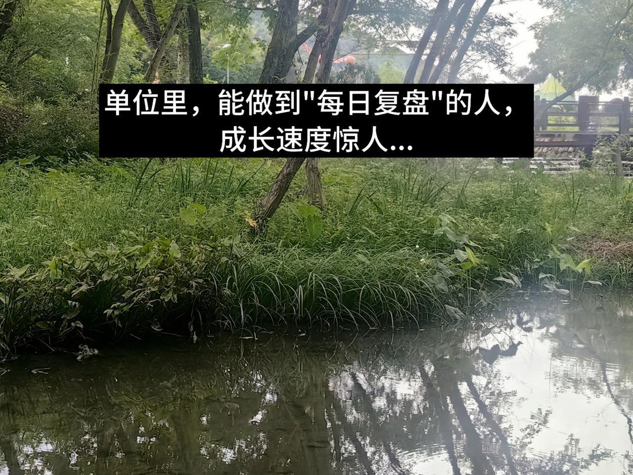 单位里，能做到"每日复盘"的人，成长速度惊人...

我工作前三年，每天忙得像个
