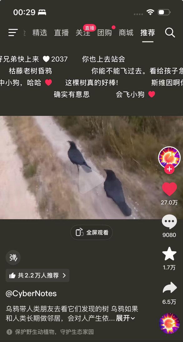 有灵性得很 还真是会飞的小狗