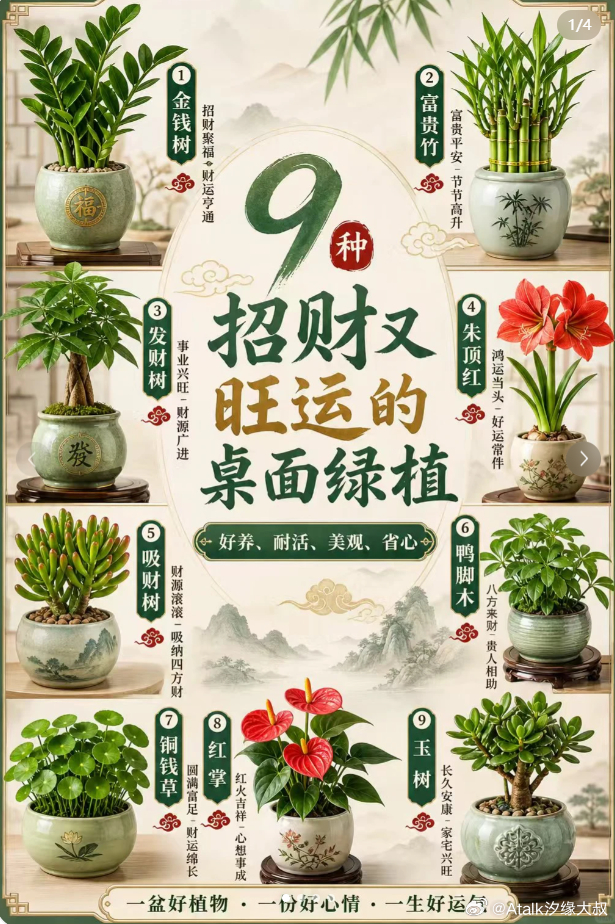 想要事业财气满满吗？踏实努力是根基，选对吉祥绿植，更能为居家、办公空间充盈活力，