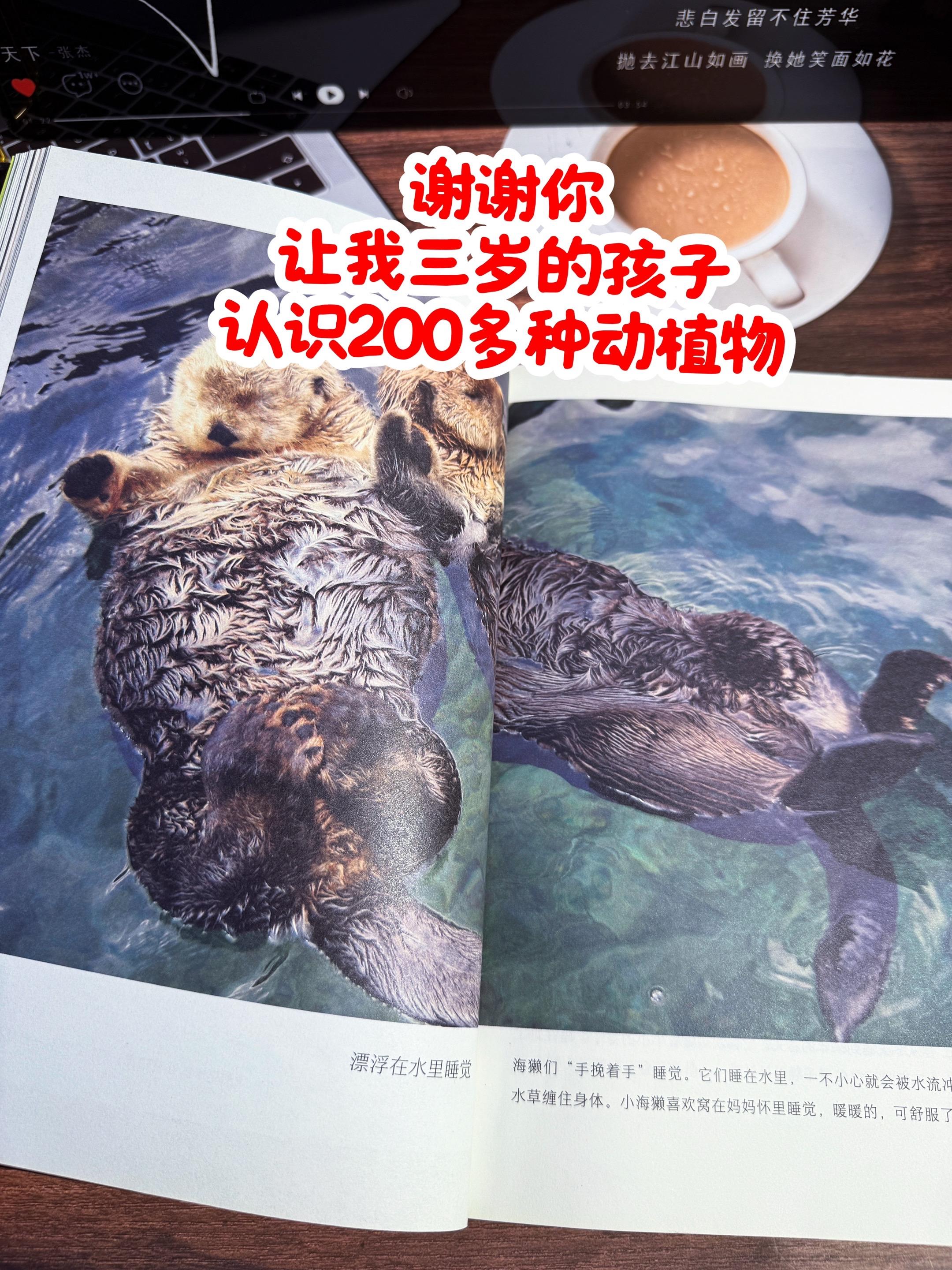 3岁就可以看的科普书！全部高清实拍大图。谢谢你，让我3岁儿子认识200...