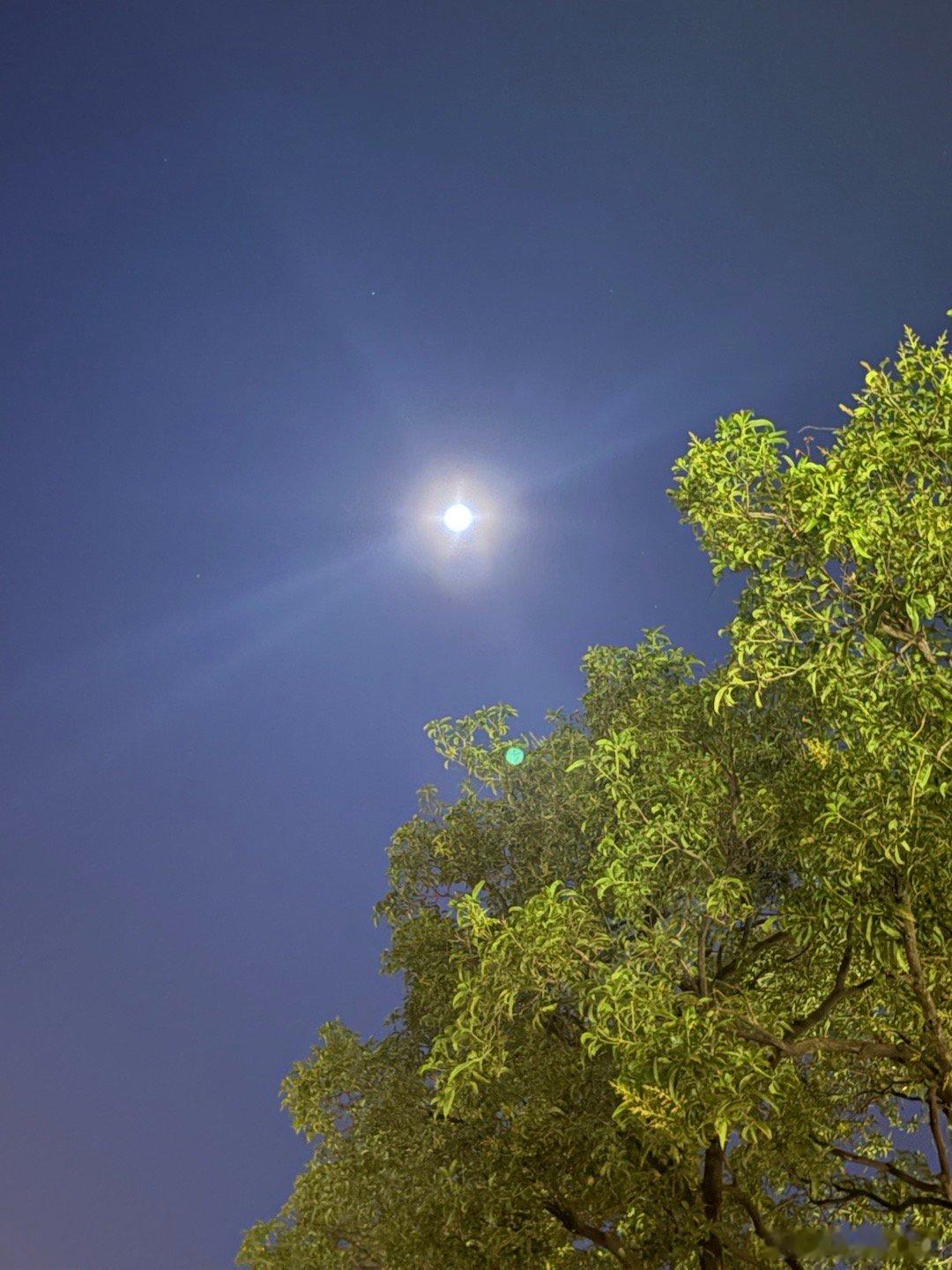 江山代有人才出，各领风骚数百年。中国的创业公司层出不穷，这正是中国经济蓬勃向上的