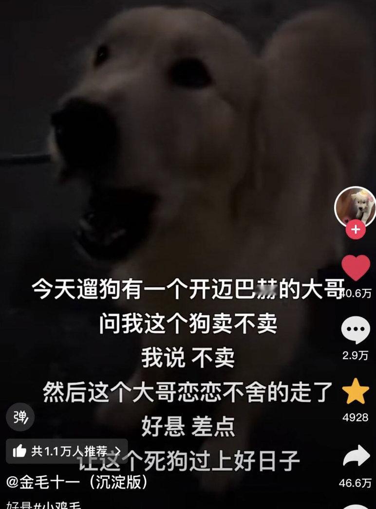 《狗富贵，人不让》。原生家庭是狗子一生的痛 