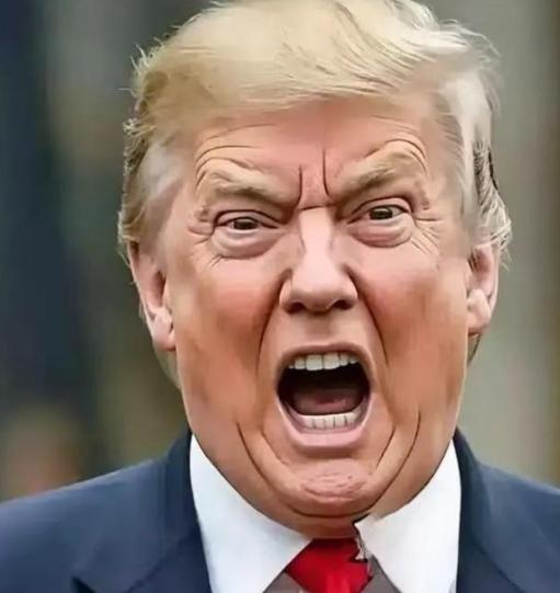 果然被猜中了！美国总统突然宣布：1月26日报道，美国特朗普政府宣布将向美国稀土公