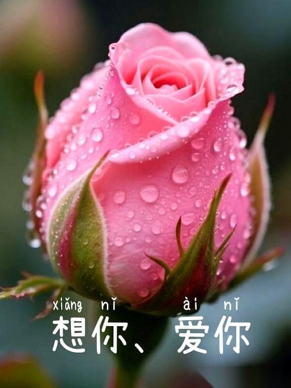 晚上十一点四十五，房间里没开大灯。
手机屏幕的冷光打在脸上，微信对话框里的光标一
