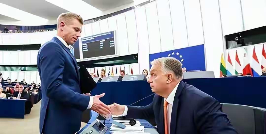 16年，欧尔班终于输了。

匈牙利选举结果出炉，掌权16年的“老大哥”欧尔班亲自