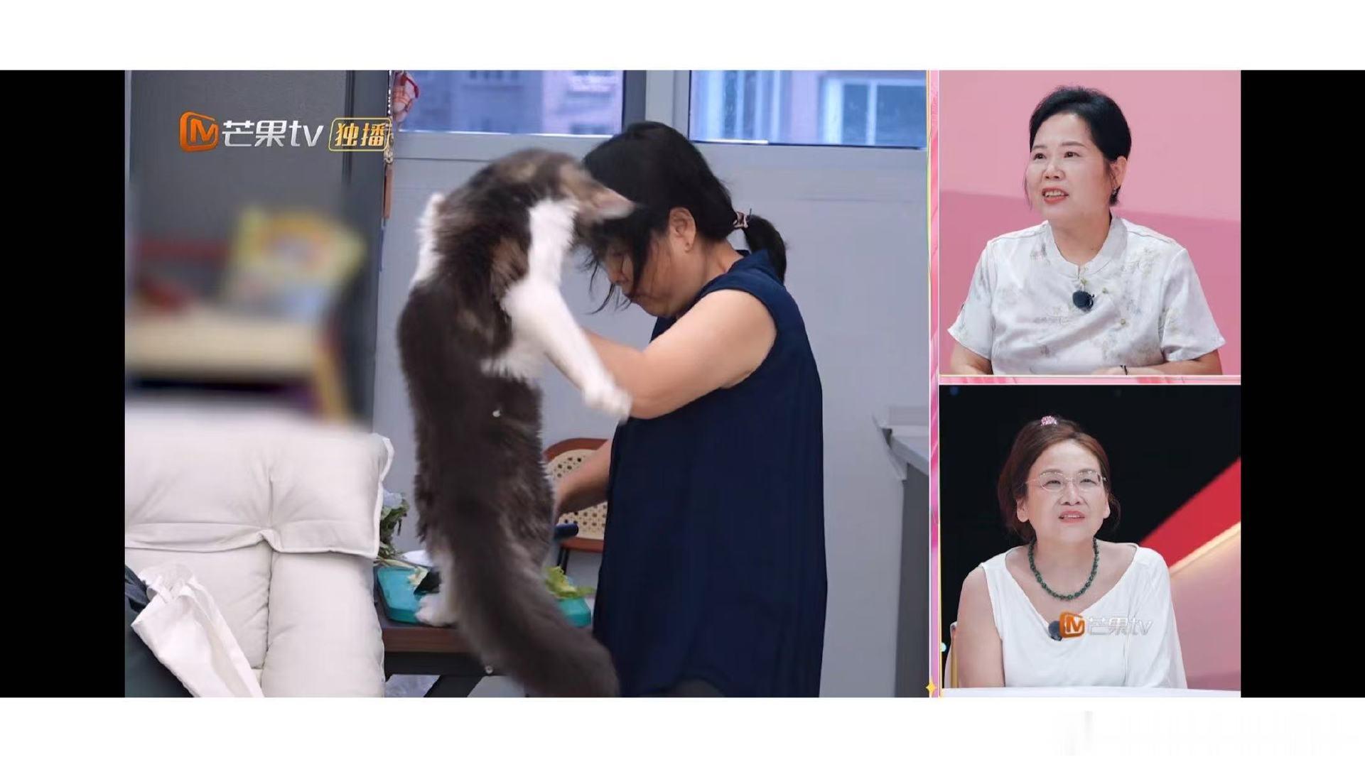 张家齐和金龟子邵子恒相处比妈妈更好 张家齐妈妈要求厨房必须安门 邵子恒能开“老实