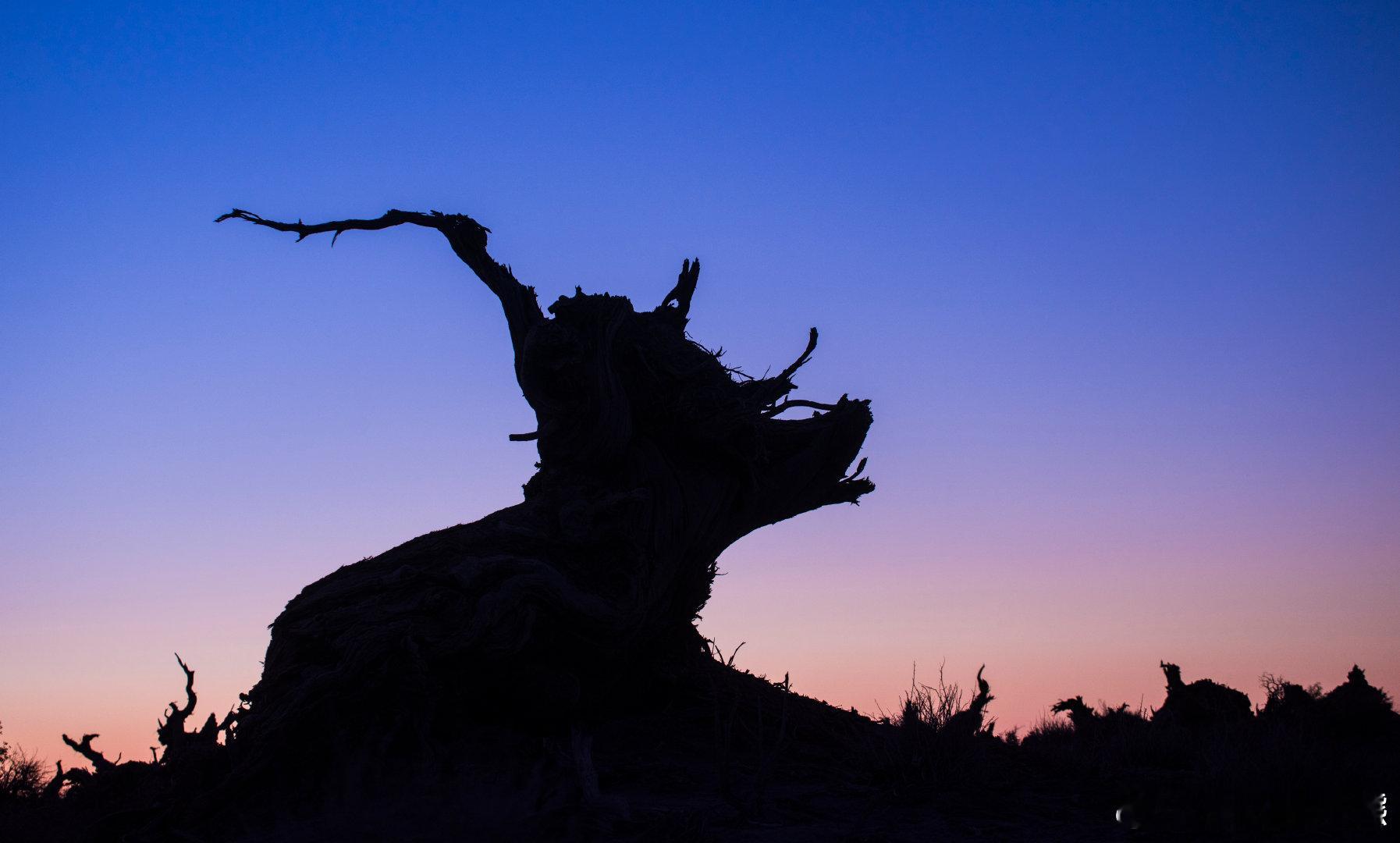 高考落幕，青春正燃！甘青新之旅，为你编织毕业季的梦幻篇章。从兰州启程，直达嘉峪关