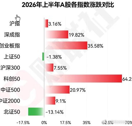 A股上半年股王涨超770%，而传统消费品股票则持续下跌。市场资金集中流向计算能力