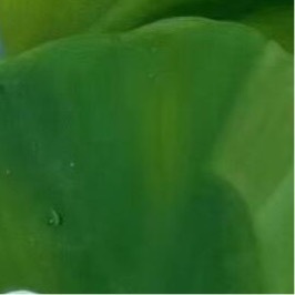 森林驿站  💫阳光信用  💫森林驿站 经历过风雨，心会变得更坚韧，擦肩而过的