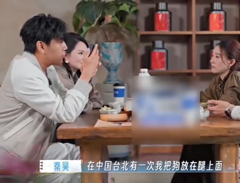 秦昊:“在中国台北有一次我把狗放在腿上面，她在那边看手机，突然之间我就看那个灯晃