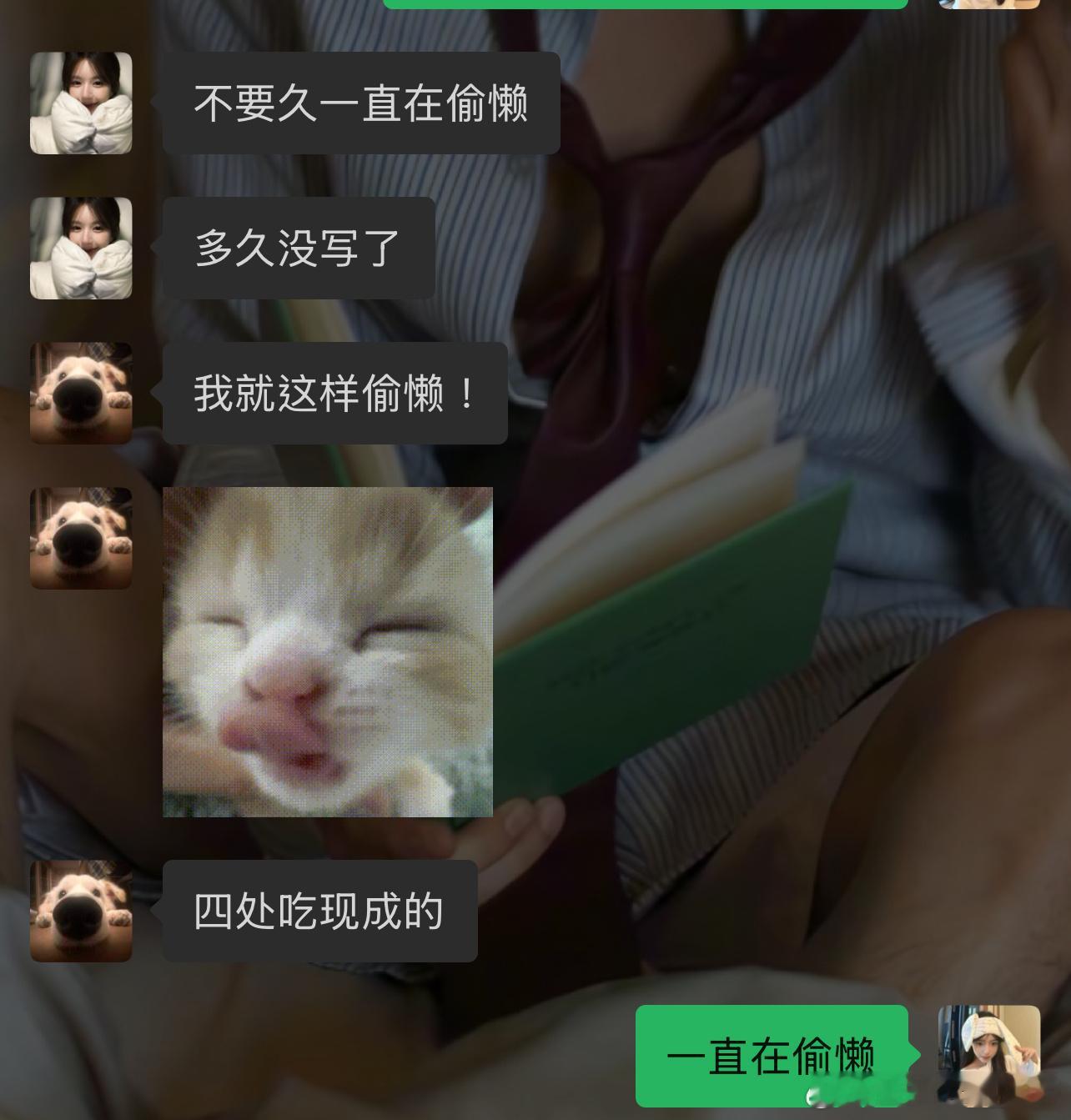 小狗不多鱼  懒猪。 