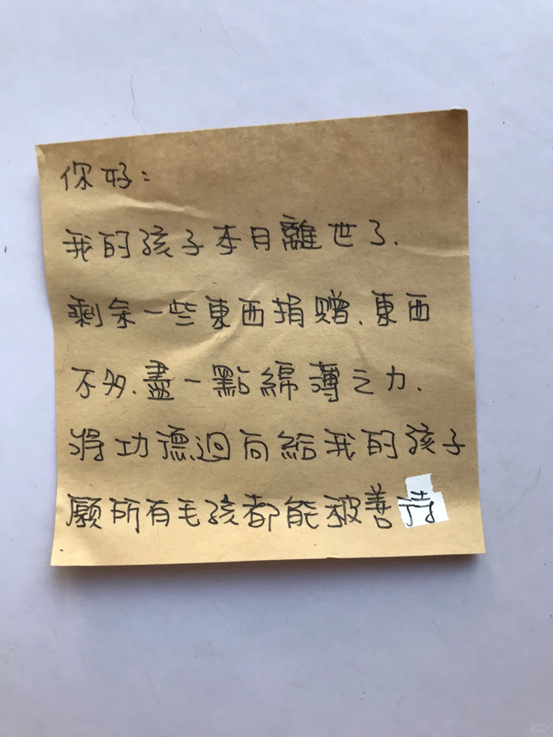谁敢救流浪猫？我们之所以还能坚持到现在，是因为总有内心美好的姐妹👭参...