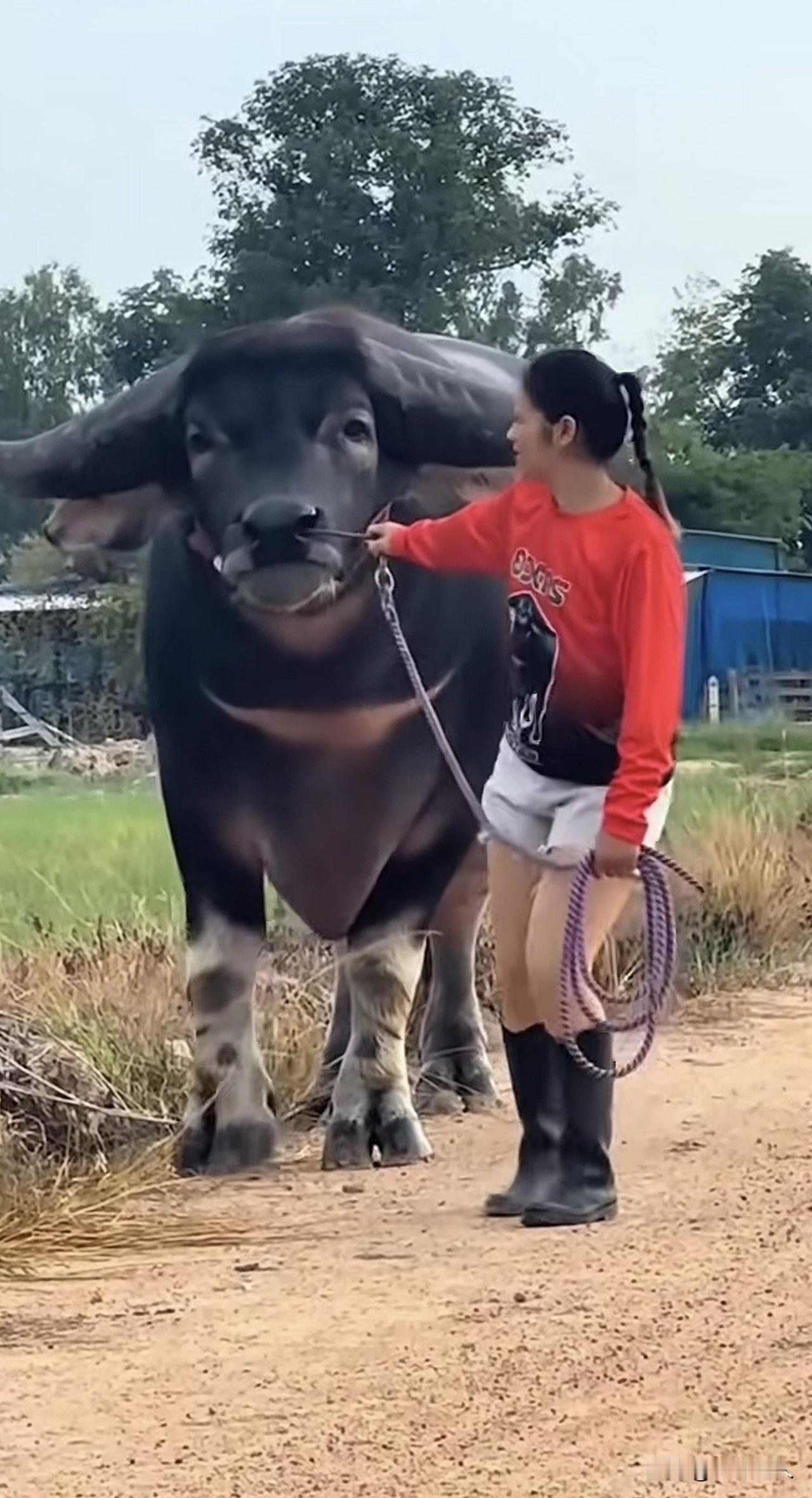 【唯道心语】正义：一定不是“和稀泥”

很多人把息事宁人当成善良，把各打五十大板