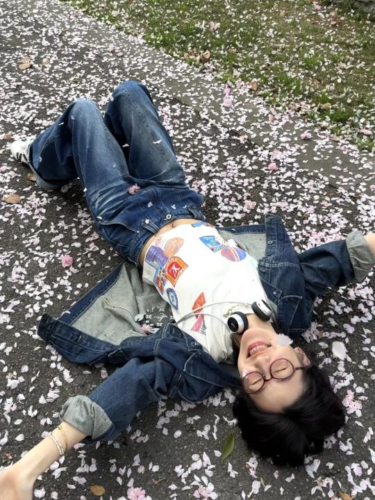 一键播放春天🌸
