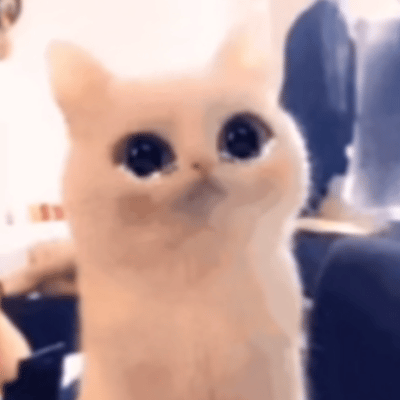 金鹰奖把电视剧编剧打成了编刷让让手写的员工吧，他们不容易 