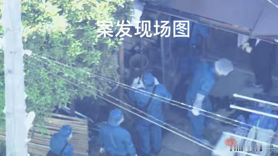 都说虎毒不食子，日本一位母亲却亲手杀害了自己的两个孩子！

看到日本长野县这起惨