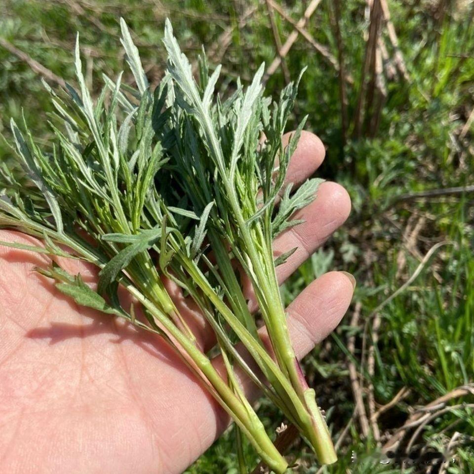 老年征婚最不能相信的承诺
和老妈看电视台播出的老年征婚节目呢，一位73岁的老人家