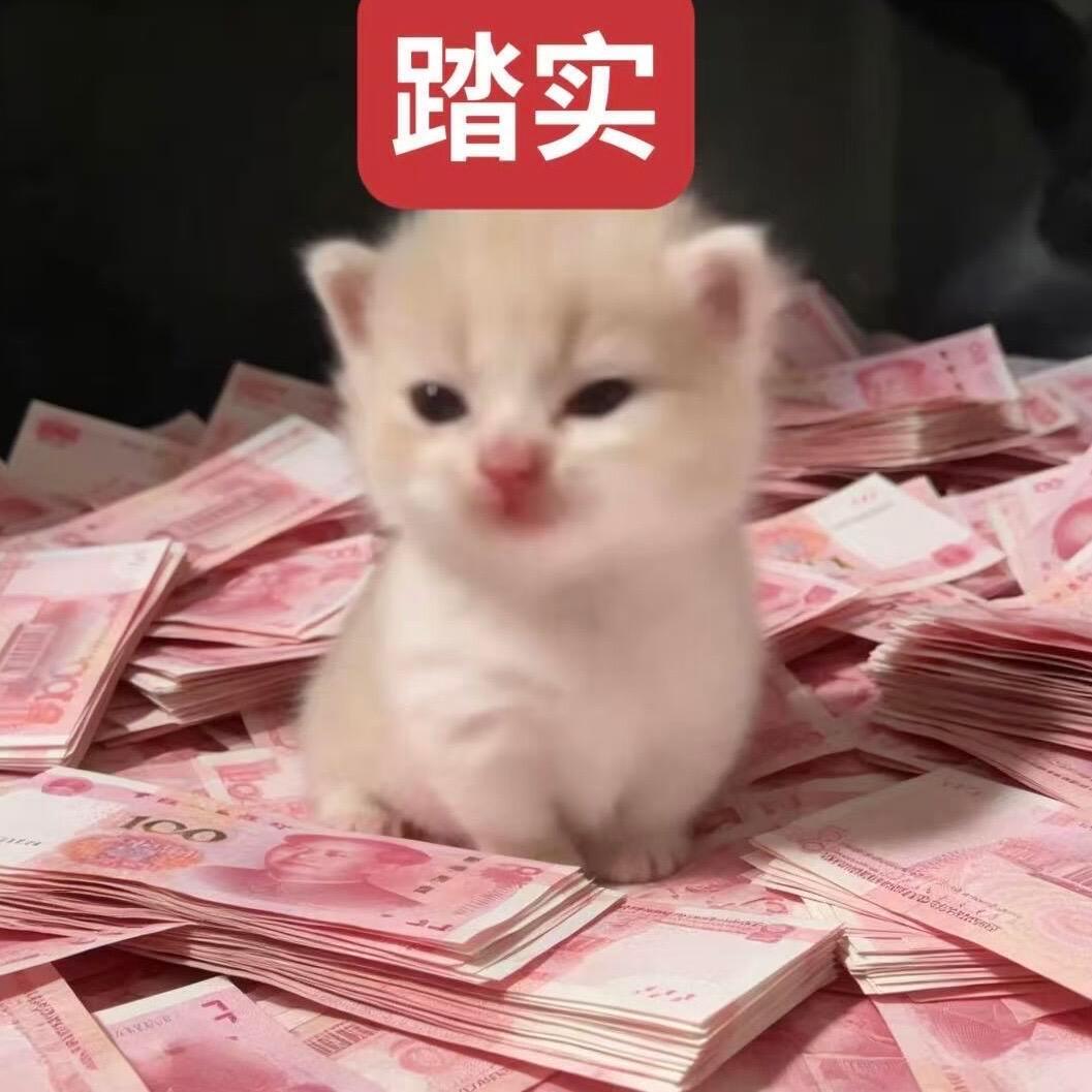 我终于收拾完两个行李箱上床了 ​​​