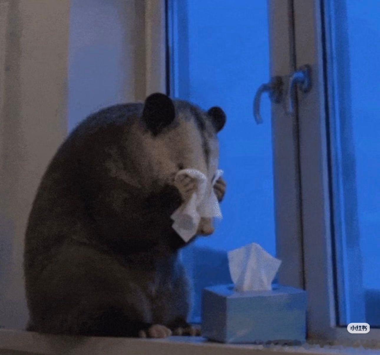 早期我还会用烂人真心形容宠遗，但是到现在...不烂的不烂的，小蛇只是想跟老公过平