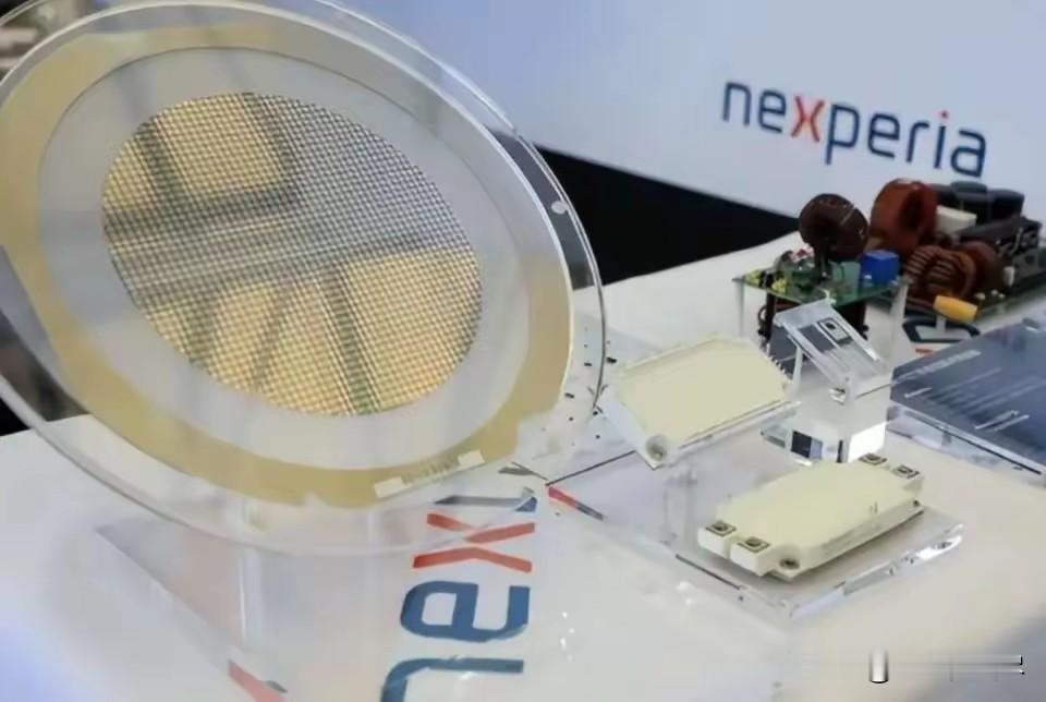 惹怒中国后，报应来了！荷兰首相被赶下台，安世“解封”倒计时？
荷兰前脚刚扣押中资