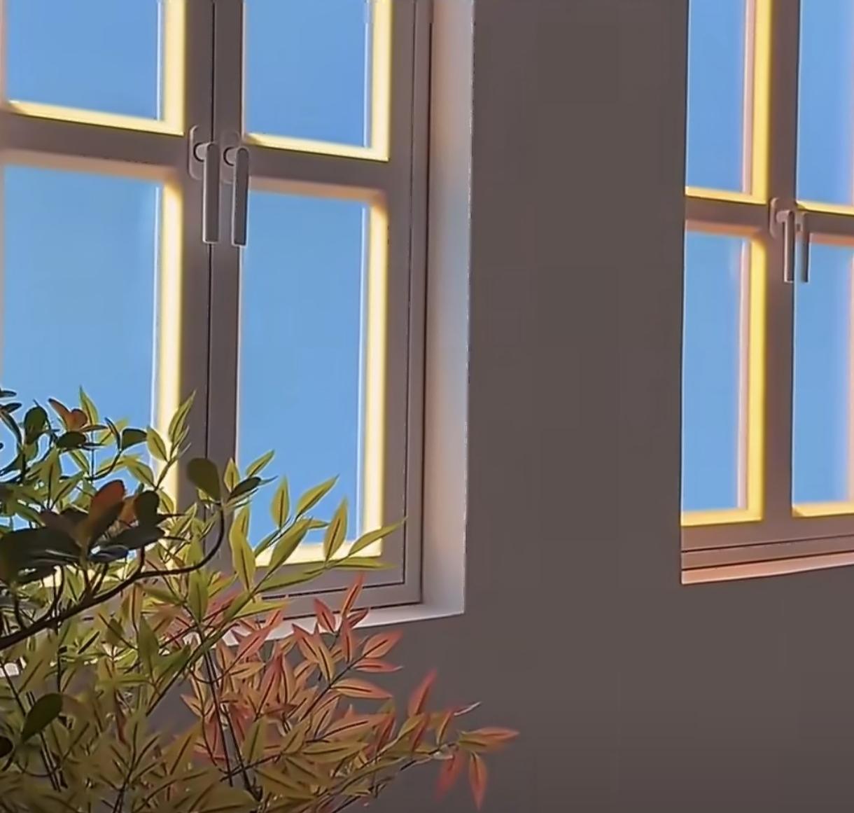 女生准备打开窗户，
以为是晴空万里，
结果被接下来的一幕整的的特别无语，这样的玻