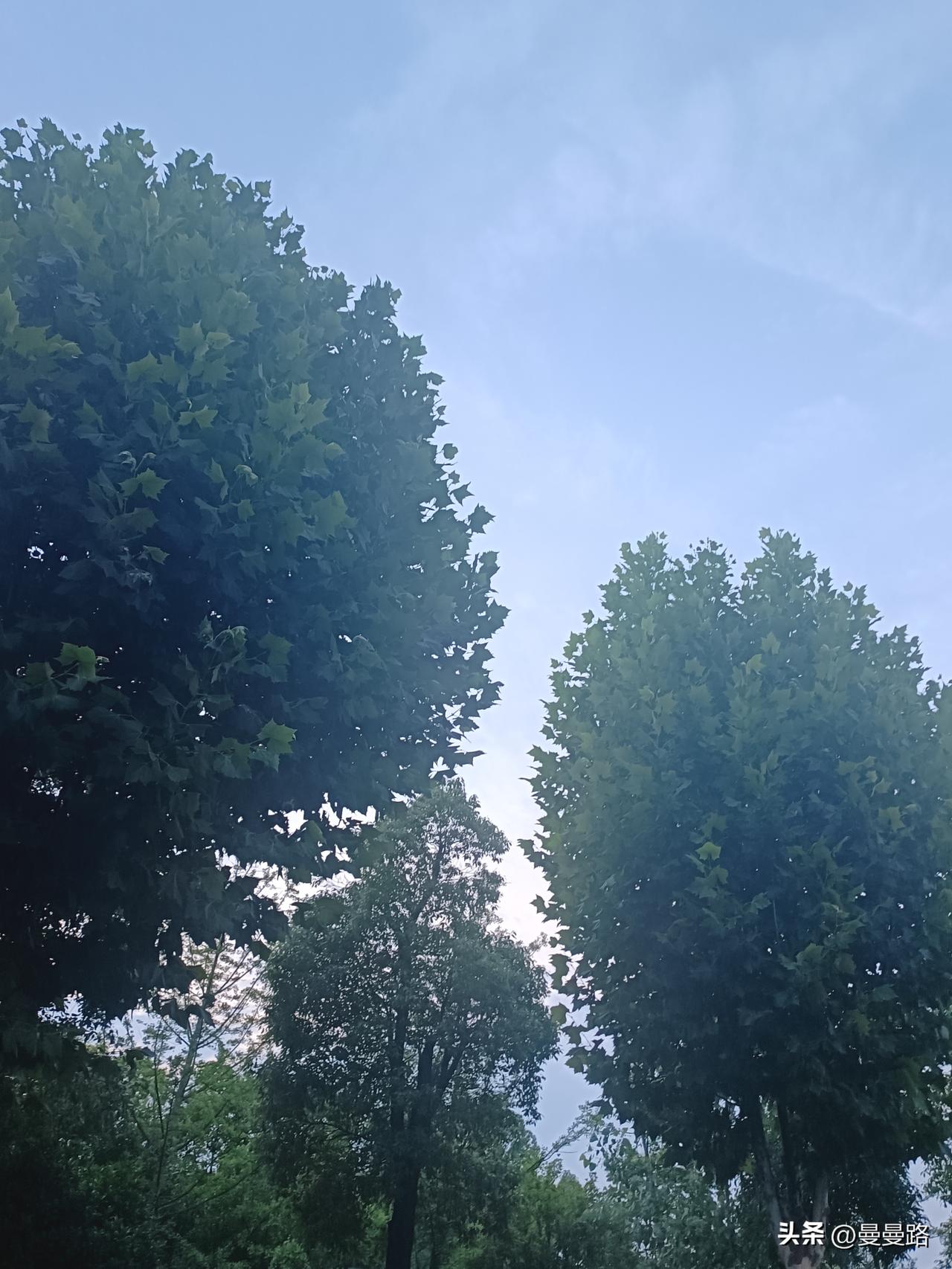 赚那么多钱干啥，
钱够用就行！
这就是我失业在家，
一个月没上班的老公，
昨天跟