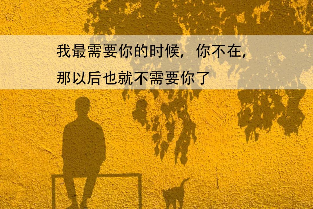 我最需要你的时候，你不在，
那以后也就不需要你了

你曾经说过你爱我，一辈子都会