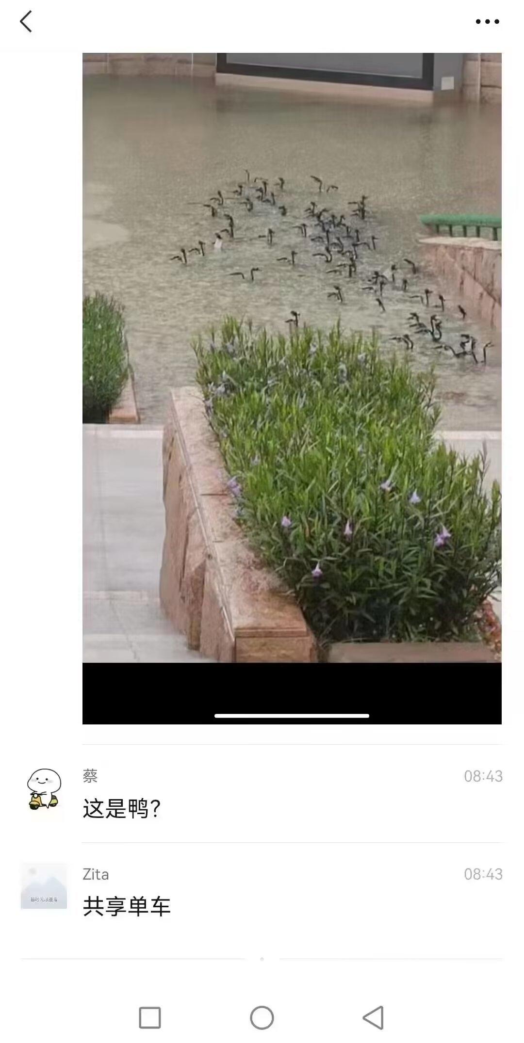 群里看到的，，我笑点很低我笑的想死。。。。 ​​​