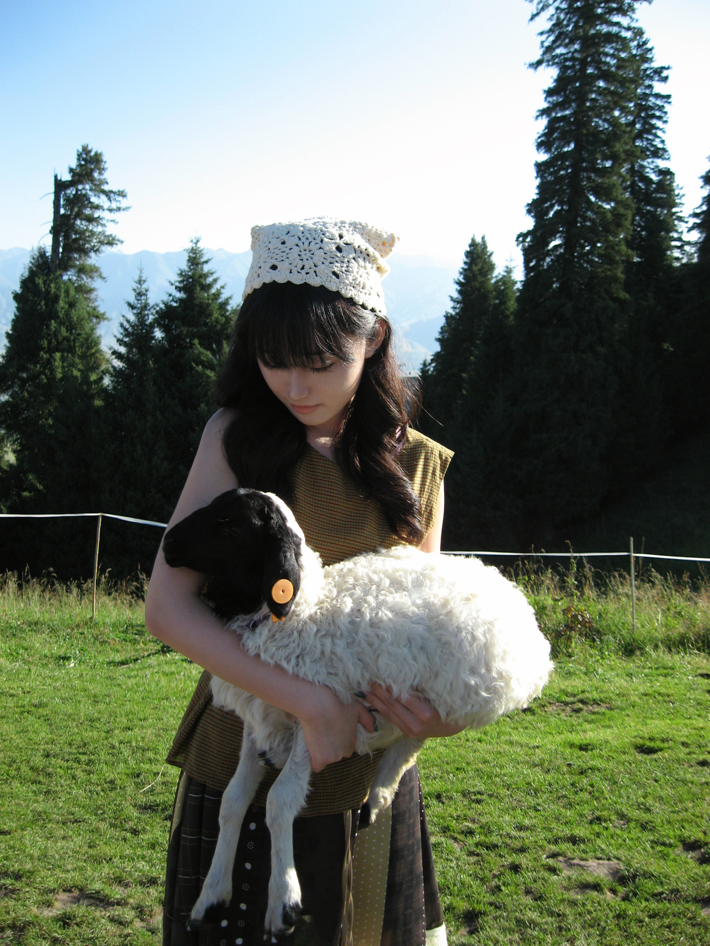 🌲🐑🌊🕶️ 博乐·赛里木湖