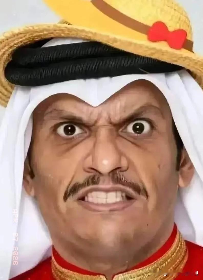 卡塔尔传来消息。
4月28日，卡塔尔外交部发言人安萨里突然表态：坚决反对把霍尔木