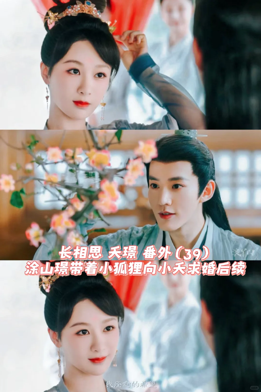 长相思｜夭璟：涂山璟带着小狐狸向小夭求婚