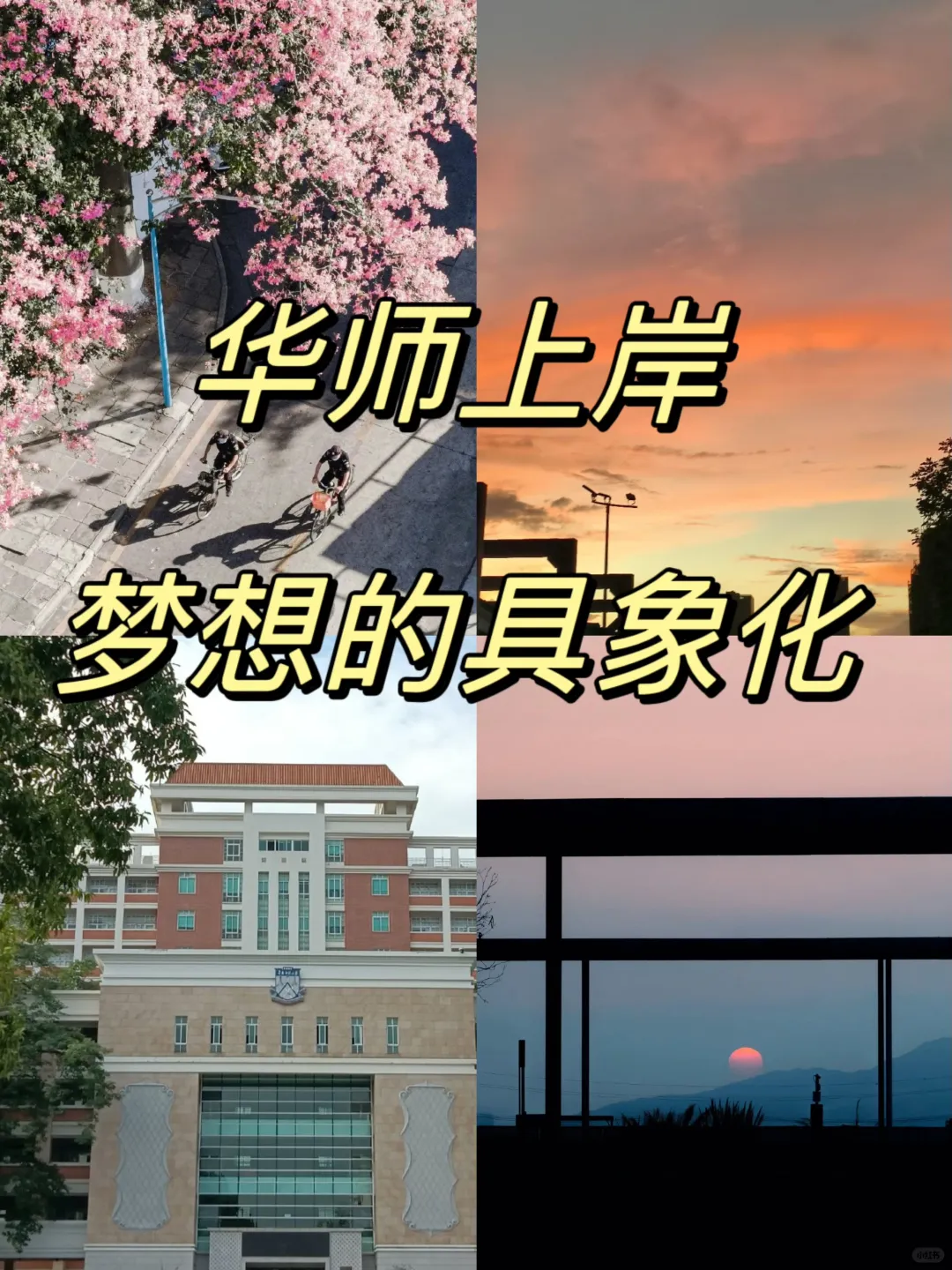 华南师大考研上岸✨梦想的具象化