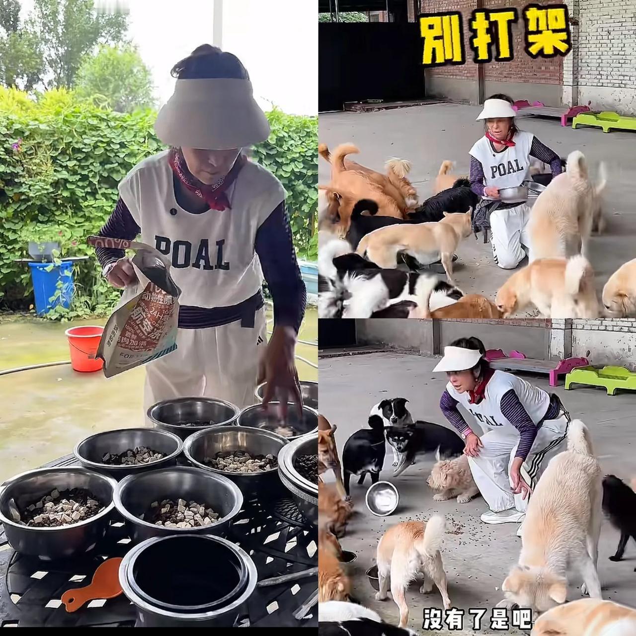 真被李勤勤圈粉了
都知道她是实力派演员
可她背后默默救助流浪狗这件事，才是真的超
