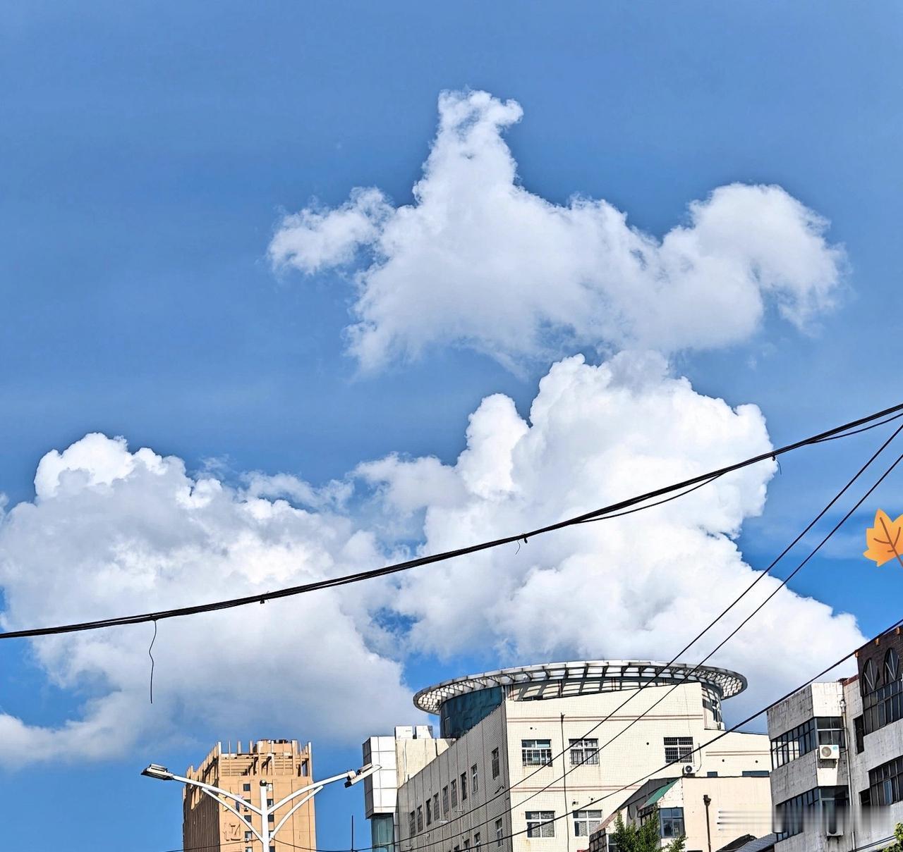 夏日街景
 
澄澈透亮的蓝天铺满整片画面，大朵大朵的白云蓬松舒展，像一团团柔软的