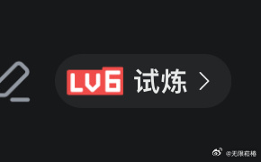 已然是啊b的lv6，这个试炼题居然有100道 