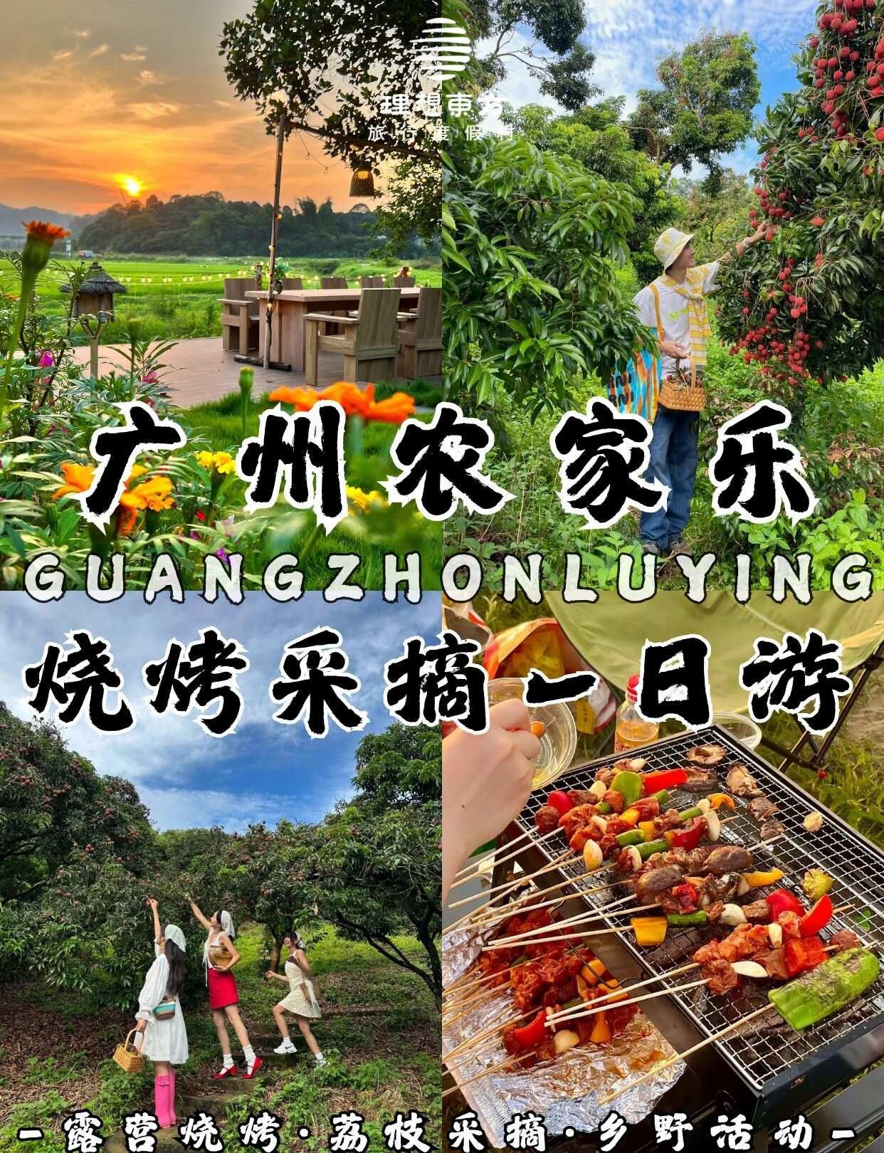 广州有风小院一日游｜采摘+窑鸡+烧烤BBQ
广州40min直达森野农家乐，荔枝现