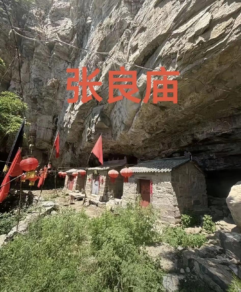 程梦圆一家人是善良的人，一家人正承受巨大悲痛欲绝的时候。还不忘给小马农家院发锦旗