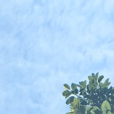 每日一善 愿你每日的善行，如星辰点亮夜空，虽不夺目，却恒久闪耀，汇聚成璀璨的银河