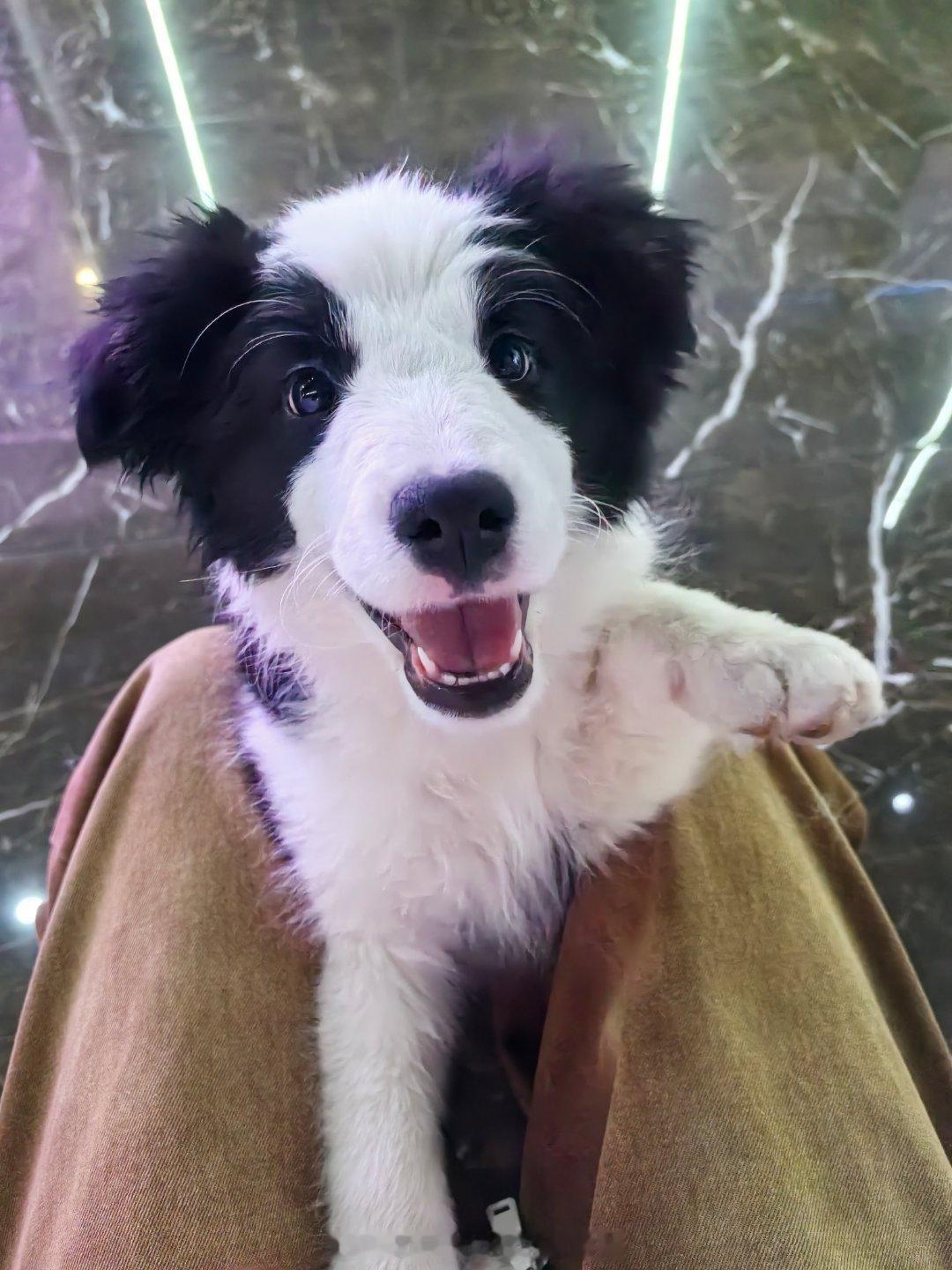 美容师的修勾勾，叫开心，想念我的妹妹呐[苦涩] ​​​