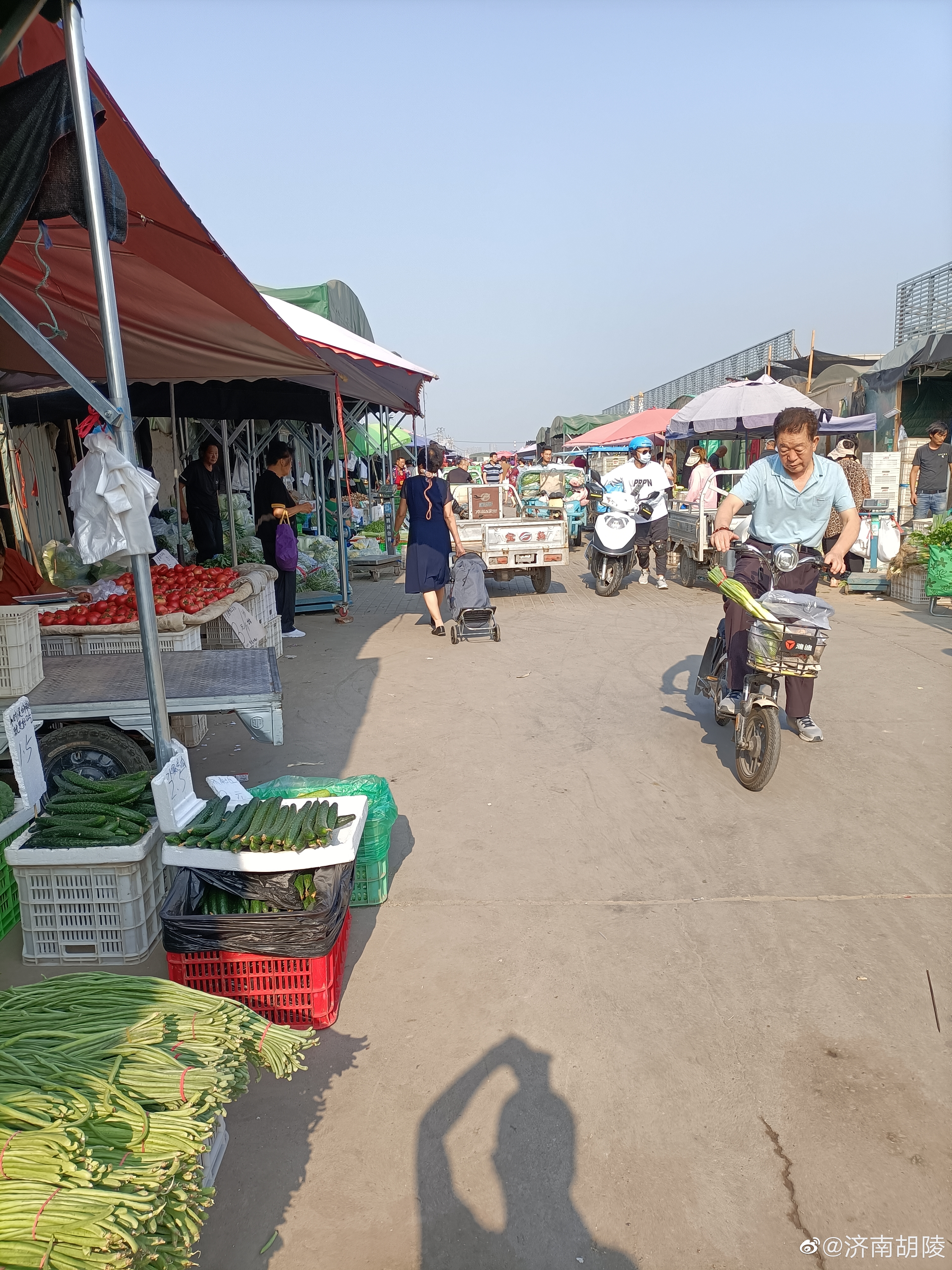 #赶集# 北京奥北市场：市场太大了！蔬菜特别便宜，蔬菜品种也特别多，可以说应有尽