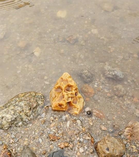 渭河河堤路，周至县境内，黑河大桥往西五六公里处，渭河河滩、河床等几乎都是砂土、石