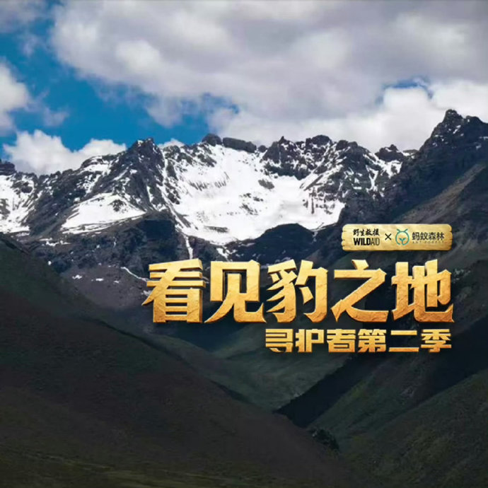 王一博寻护者2看见豹之地官微王一博寻护者2看见豹之地开通官微哇！王一博看见豹之地
