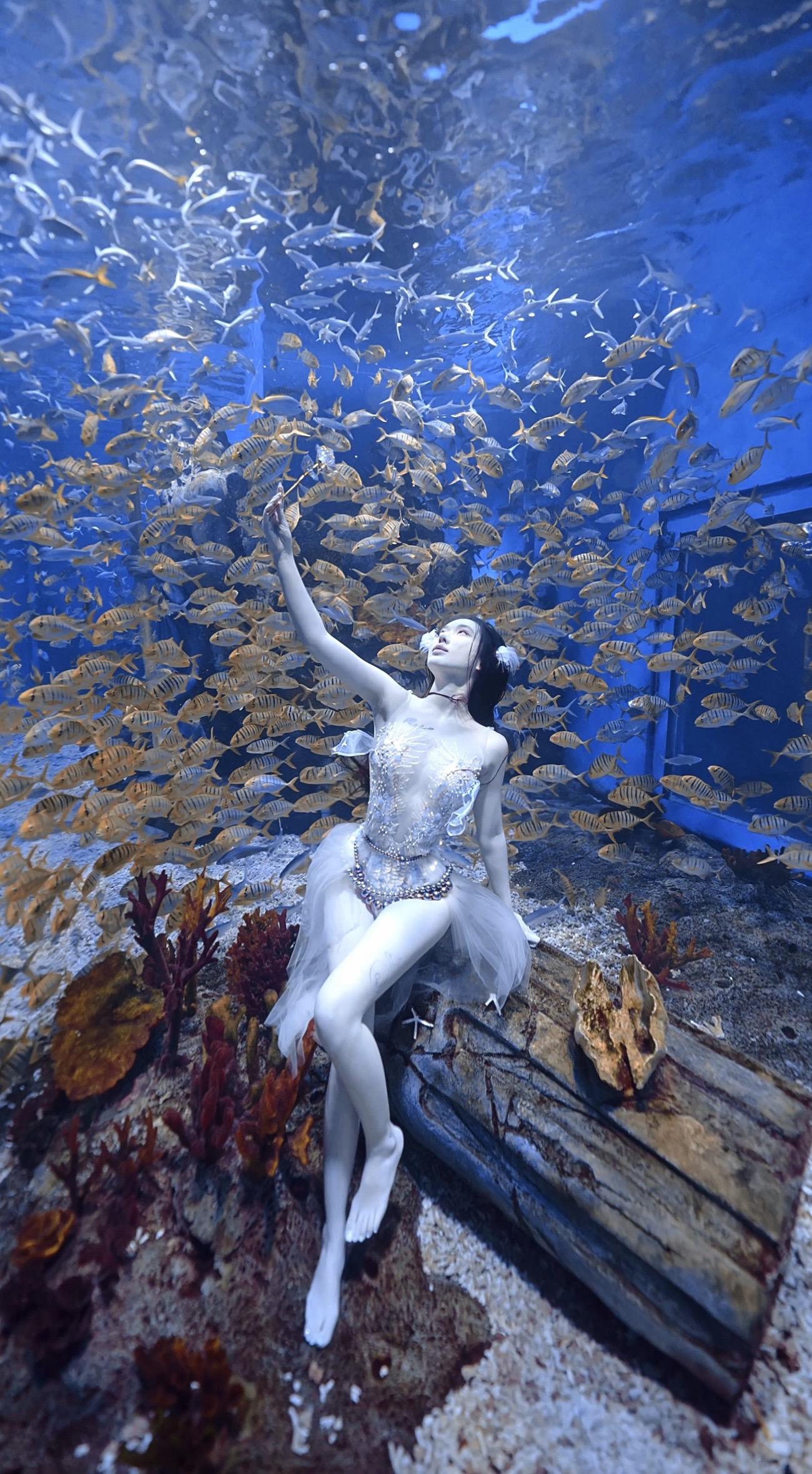 多少天长地久有几回细水长流🪼