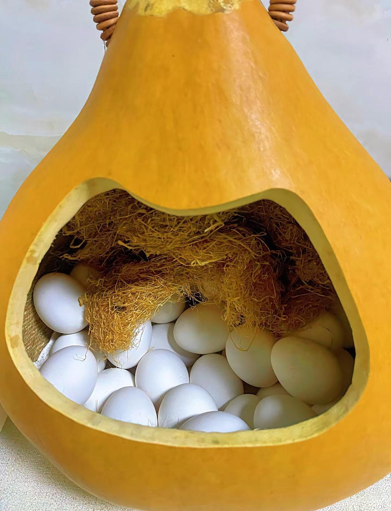 春会来、花会开、人会顺、知足常乐 心定即安，岁月自暖，流年无恙，喜乐如常。干干净