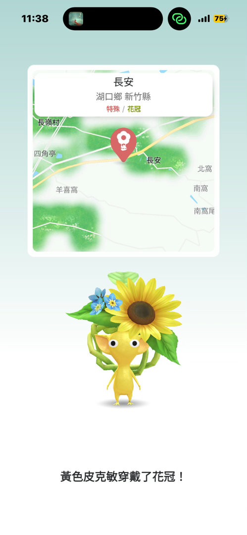 每日一餐分享今天來跟同事歡歌，酸辣粑粑絲好吃😘。又再度讓同事們認識老大😍，他