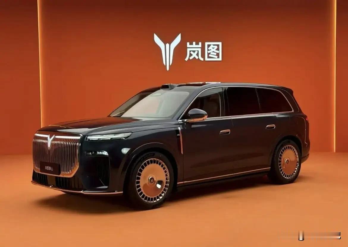 有高人预测未来中国国产汽车只剩下6家：  
1：比亚迪汽车（代表深圳）  
2：