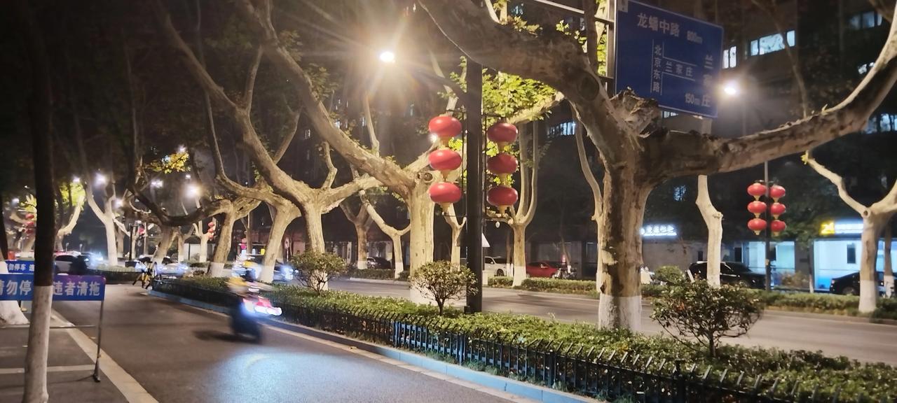 展示你拍摄的树木照片