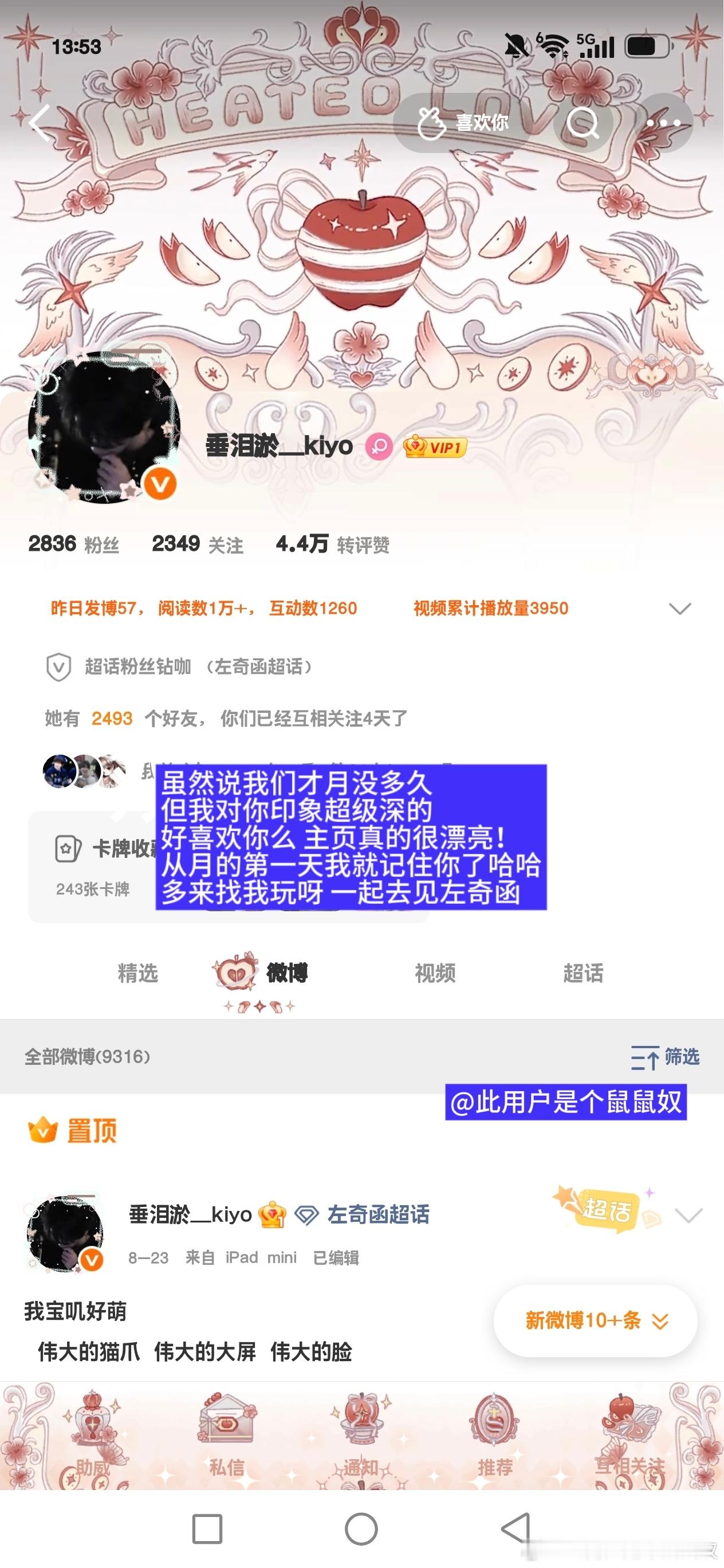 一份印象条 ​​​