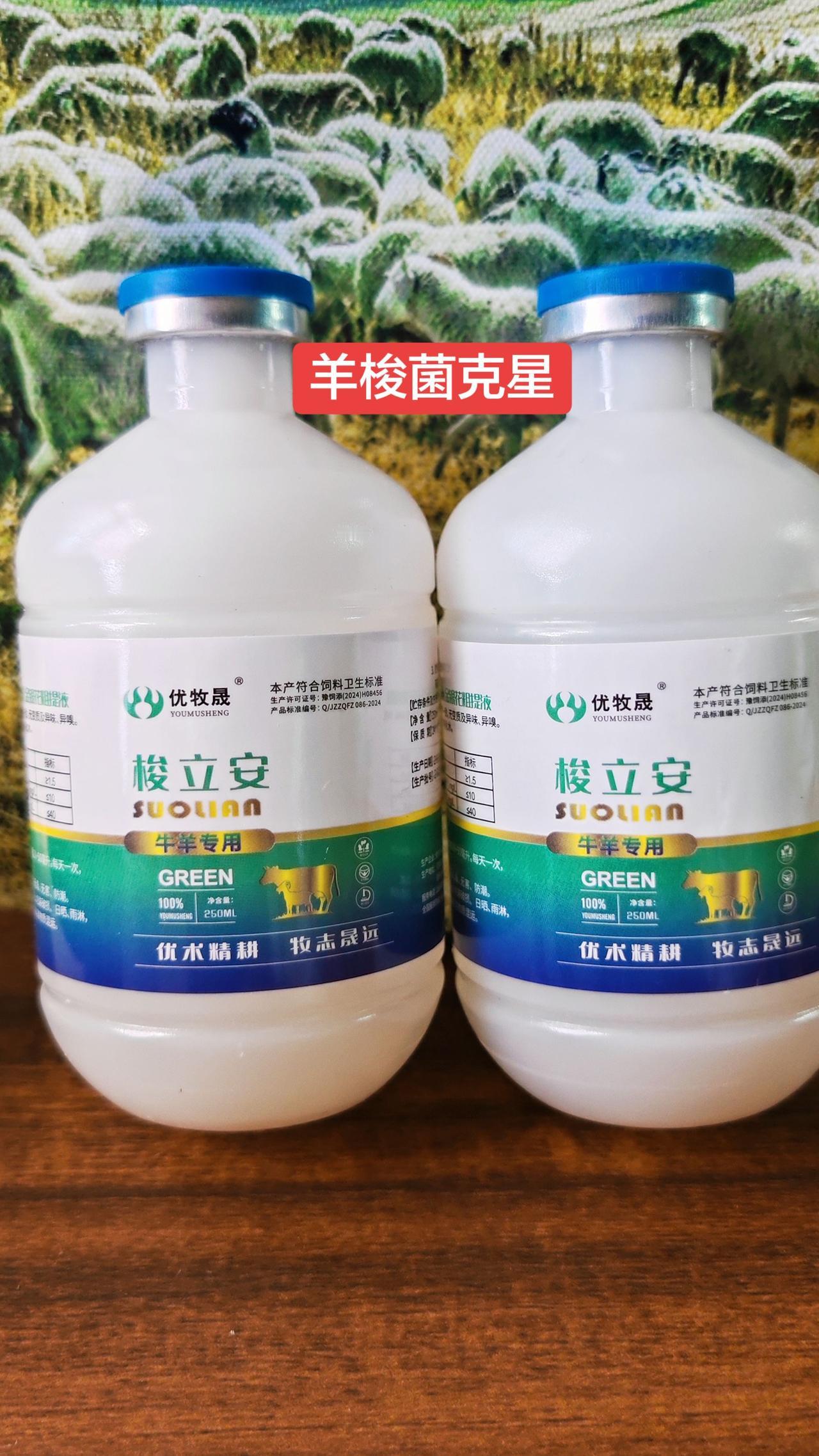 养羊人 农村养羊 牛羊养殖