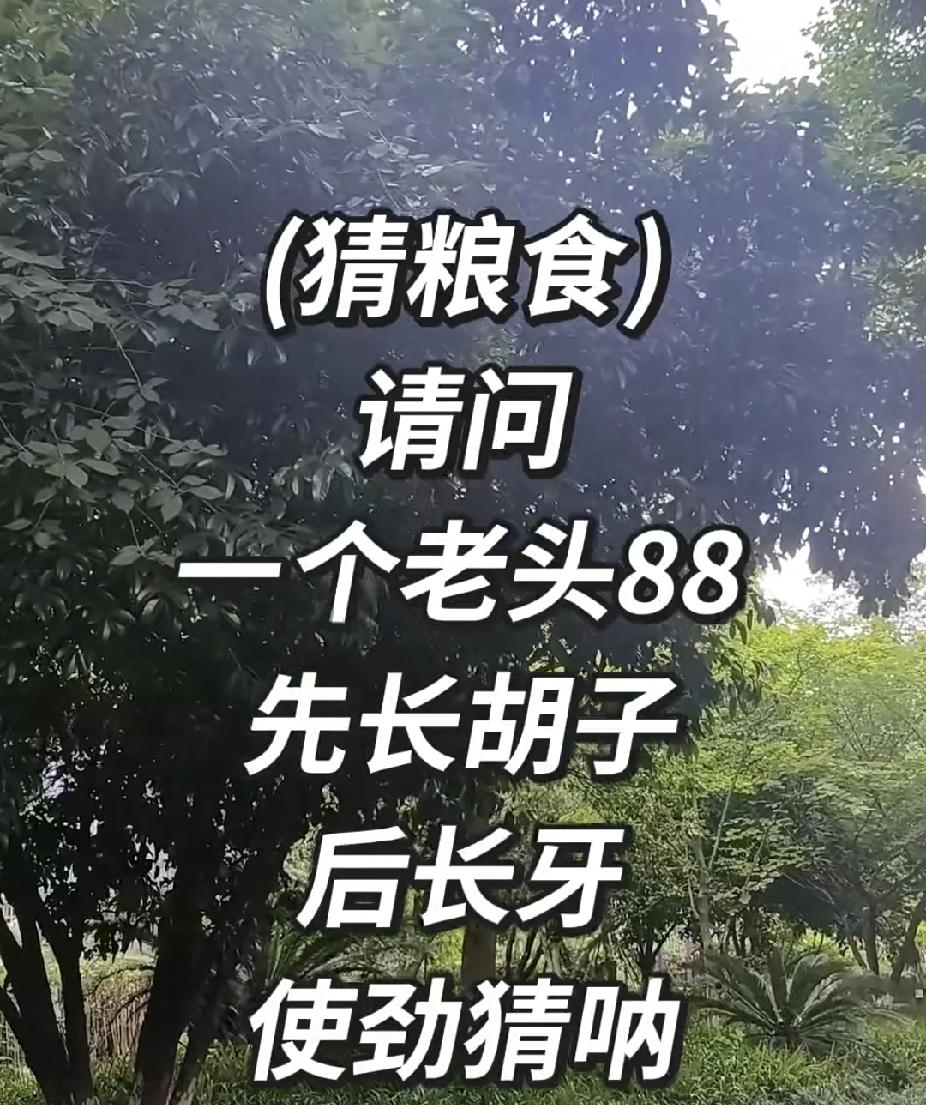 分享今日随笔？ 猜粮食谜语：老头88先长胡子后长牙，不少人半天猜不出